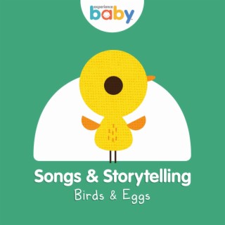 Baby Beats: Birds & Eggs