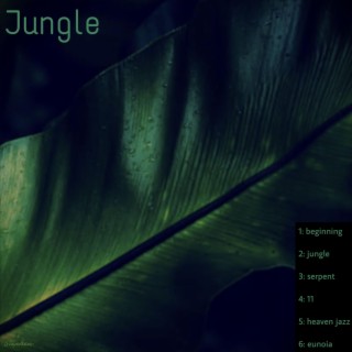 Jungle