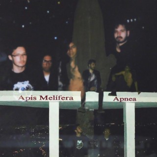 Apnea (Live at Sonnito Estudio)