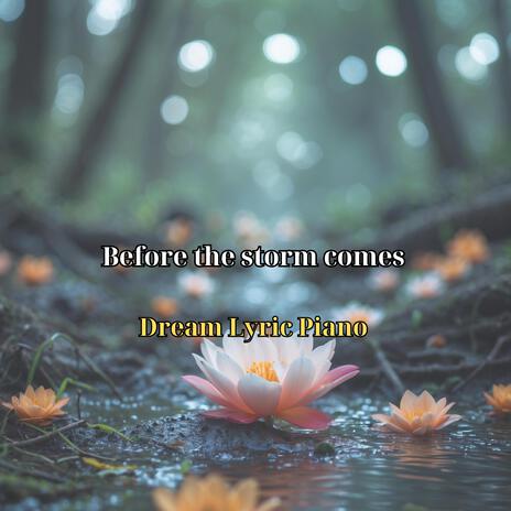 Before the storm comes | Boomplay Music