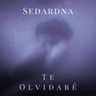 Te Olvidaré