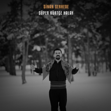 Sinan Serhede Süper Kürtçe Halaylar | Boomplay Music