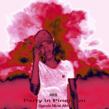 Party in Pinetown (Radio edit)