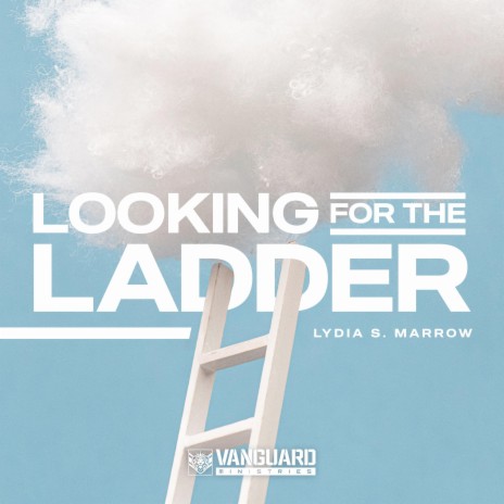Looking For The Ladder