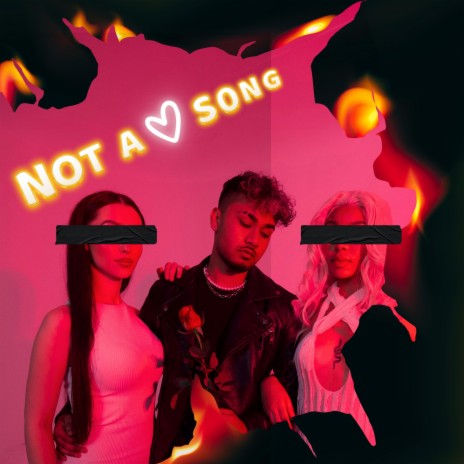 Not a Love Song (Radio Edit) | Boomplay Music