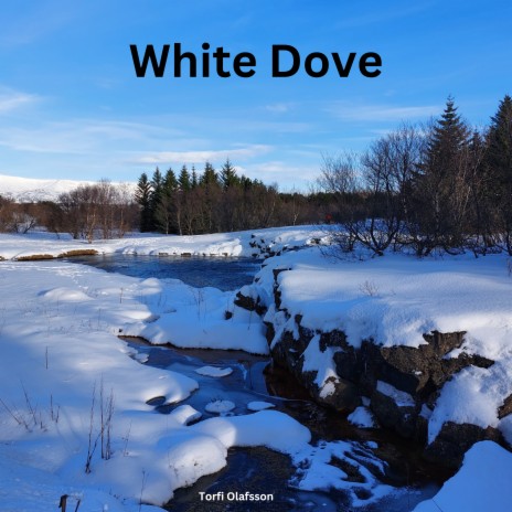 White Dove | Boomplay Music