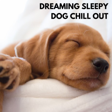 Dreaming Sleepy Dog Chill Out ft. Relax My Dog Music & Dog Music | Boomplay Music