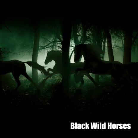 Black Wild Horses