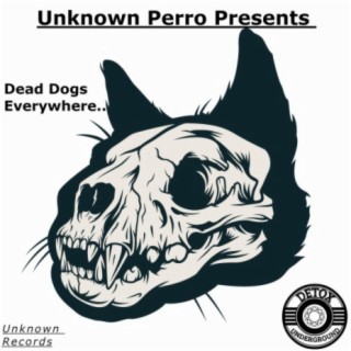 Dead Dogs Everywhere (Instrumental)