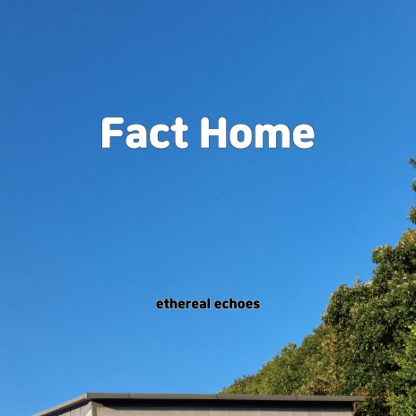 Fact Home | Boomplay Music