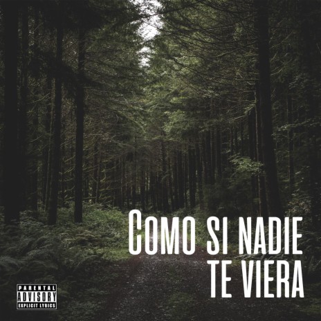 Como si nadie te viera | Boomplay Music