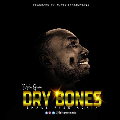 DRY BONES | Boomplay Music