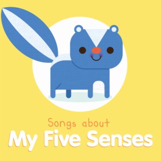 Baby Beats: My Five Senses