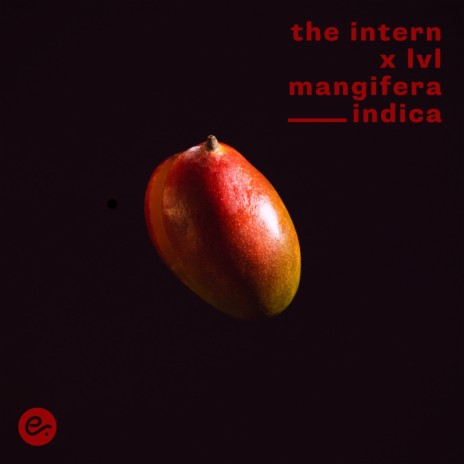 mangifera indica ft. lvl & The Pinch | Boomplay Music