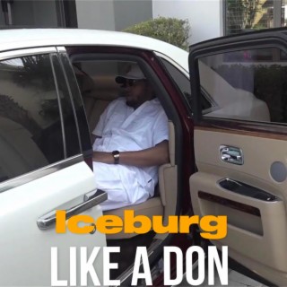 Like A Don (REMIX)