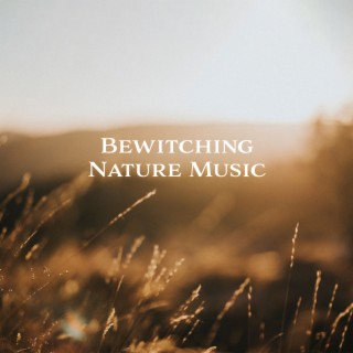 Bewitching Nature Music: Relaxing Sounds of Rain and Wind, Tranquil Vibes for Stress Relief, Total Relaxation, Bedtime Sleep Meditation
