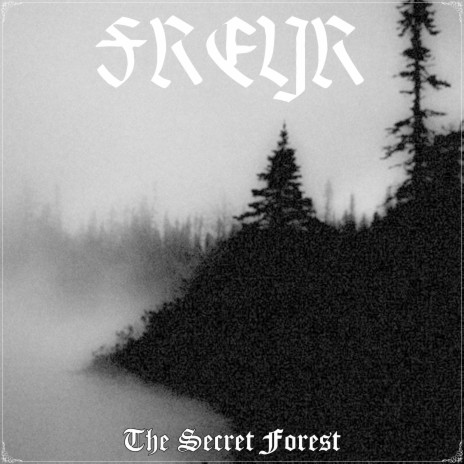 The Secret Forest | Boomplay Music