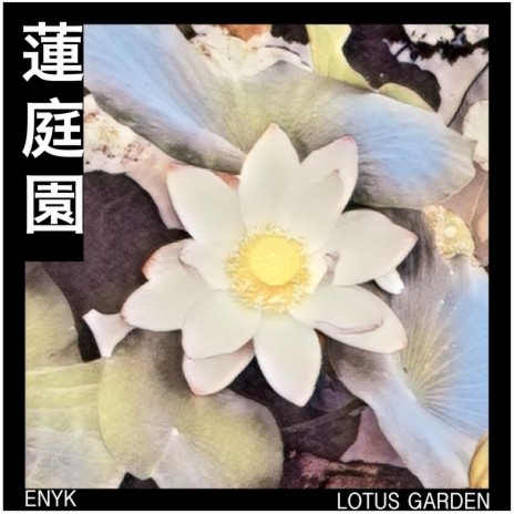 Lotus Garden | Boomplay Music