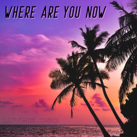 Where Are You Now | Boomplay Music