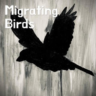 Migrating Birds