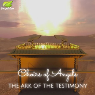 THE ARK OF THE TESTIMONY
