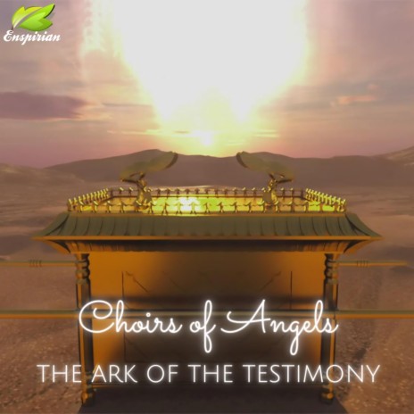 THE ARK OF THE TESTIMONY | Boomplay Music
