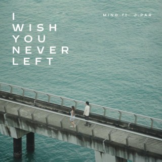 I Wish You Never Left