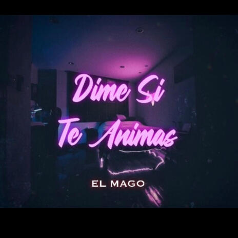 DIME SI TE ANIMAS | Boomplay Music