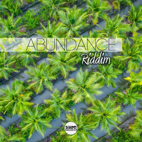 Abundance Riddim | Boomplay Music