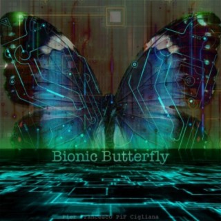 Bionic Butterfly