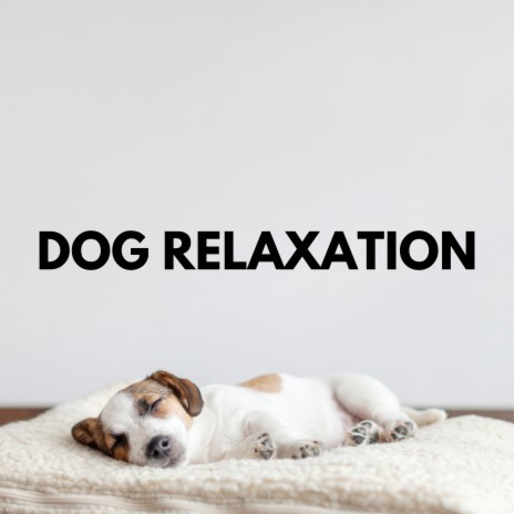 Dog Relaxation ft. Relax My Dog Music & Dog Music | Boomplay Music