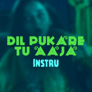 Dil Pukare Tu Aaja Instru