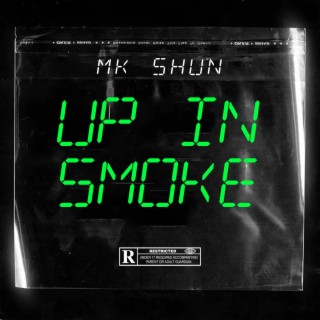 Up In Smoke (Fast) lyrics | Boomplay Music