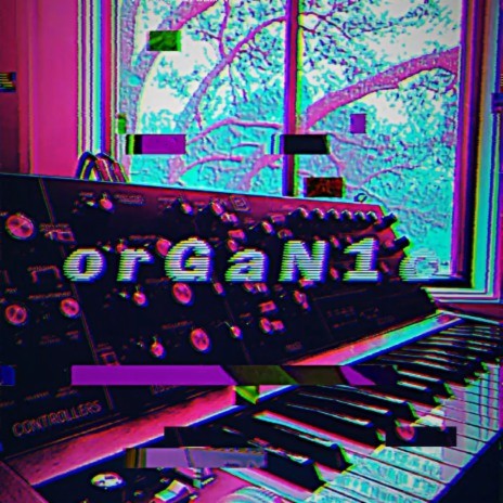 o r G a N 1 c | Boomplay Music