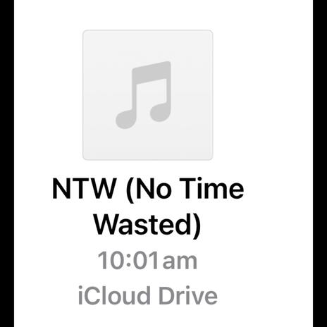 N.T.W (No Time Wasted) | Boomplay Music