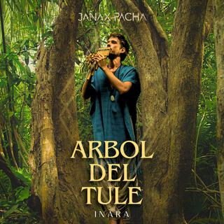 Arbol del Tule