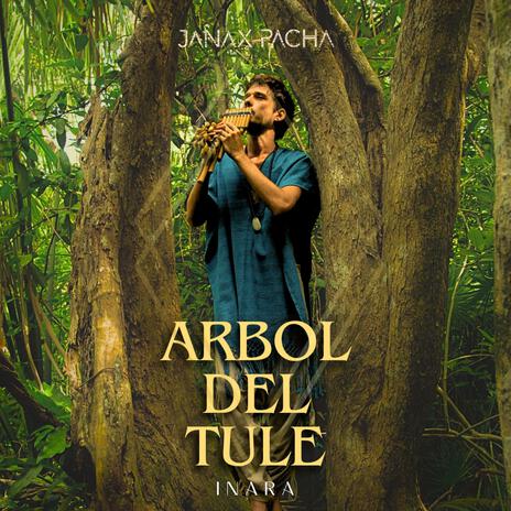 Arbol del Tule ft. Janax Pacha