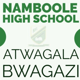 Namboole High School