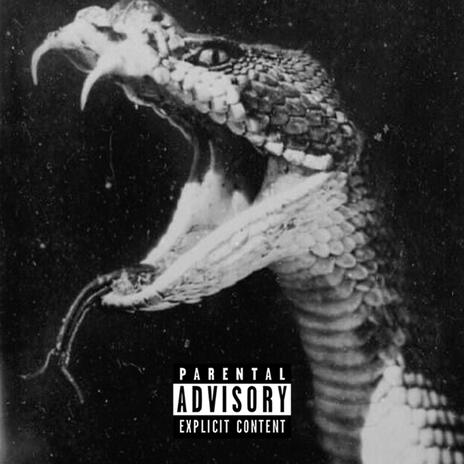 Serpiente ' ZonetoZen | Boomplay Music