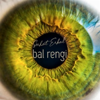 Bal Rengi