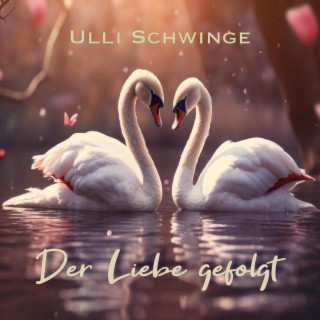 Der Liebe gefolgt