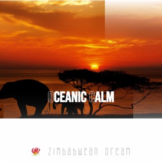 Oceanic Calm: Waves of Relaxation