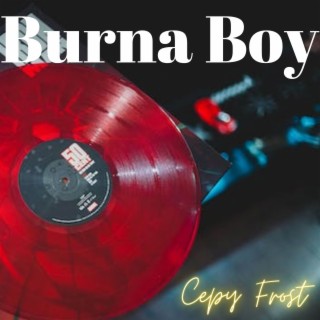 Burna Boy lyrics | Boomplay Music