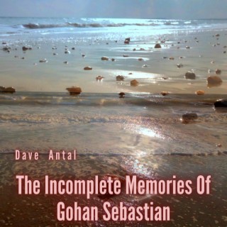 The Incomplete Memories Of Gohan Sebastian