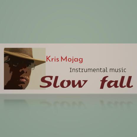 Slow fall | Boomplay Music