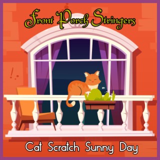 Cat Scratch Sunny Day