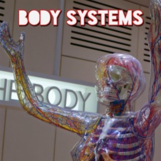 Body Systems