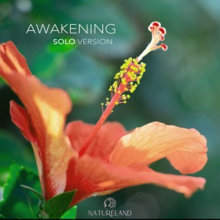 Awakening (Solo Version)