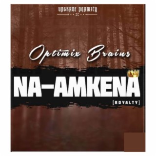 NA-AMKENA lyrics | Boomplay Music