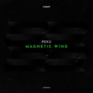 Magnetic Wind